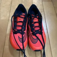 NIKE エアズーム ライバルフライ3 (27.5cm)