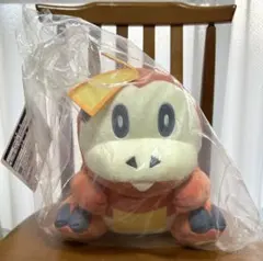 ポケットモンスター　ホゲータぬいぐるみ 2体セット　一番くじB賞 2420518501.jpg?1730760953