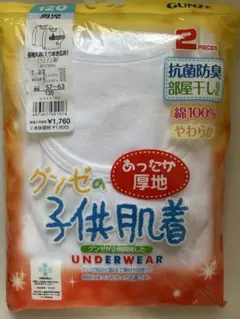 GUNZE 子供肌着 2枚セット 120