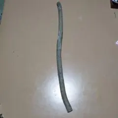 Item thumbnail for item 7564c840-559a-40b5-9171-eaf3f1629e96