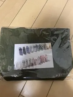 ⭐️pionunnal MOVE KAHKI⭐️