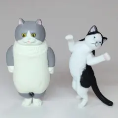 並べ隊　整列キャット　Shall we ニャンス？