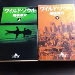 ワイルドソウル