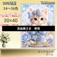 No.3468　Tokkuma【26色】ダイヤモンドアート　キット No.3468 Tokkuma【26色】ダイヤモンドアート キット - メルカリ