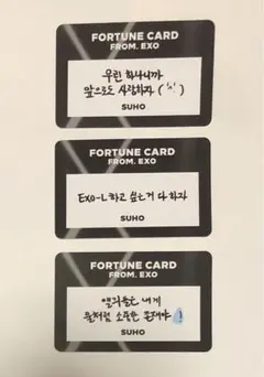 EXO ONE フォーチュンカード スホ