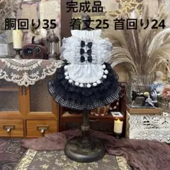 Item thumbnail for item 77dac95e-692e-4e13-91a4-406ded760c9f