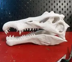 MATSUさま 専用 モササウルス 三葉虫 - メルカリ