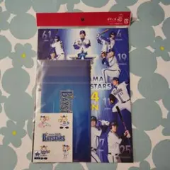未開封 YOKOHAMA DeNA BAYSTARS 2024 チケットケース