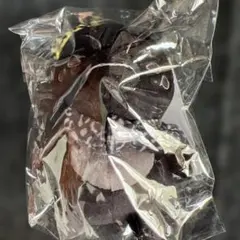 ブラックver. 2PM ジュノ ミニうちわキーホルダー ペンペン - メルカリ