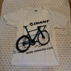 Item thumbnail for item 16020c10-7acf-4974-8bf7-1d13d2915384