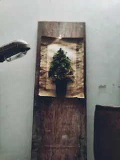 なおちゃん様ご確認用です。