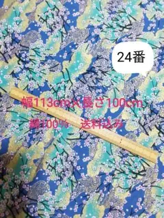 Item thumbnail for item 89797d03-adf4-4556-9d35-425ba3f1a154