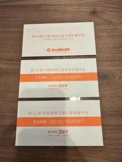 【即発送】株主優待 3000円分 ビッグカメラ コジマ 2025/11/30期限