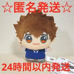 家庭教師ヒットマンREBORN! ちびぐるみ　沢田綱吉&リボーン　1種