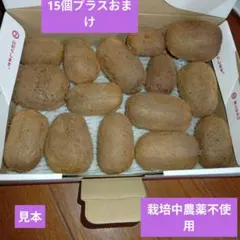 キウイフルーツ　栽培中農薬使用無し　キウイ　栽培中農薬不使用