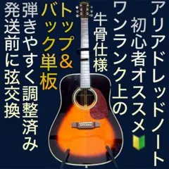オール単板☆牛骨】ARIA☆AF505【弾き易く調整☆新品弦】 - メルカリ