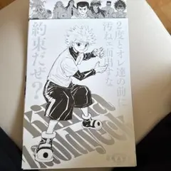 2026年最新】タイトル：HUNTER×HUNTER キャラクターグッズ ポスターの