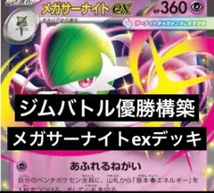 【匿名発送】　メガサーナイトex 構築済みデッキのサムネイル
