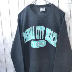 JERZEES FLORIDA カレッジ スウェット S グレー系 US古着