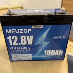 黄*色様 LIGOLD LiFePO4 12.8V 100Ah バッテリー 本体 - メルカリ