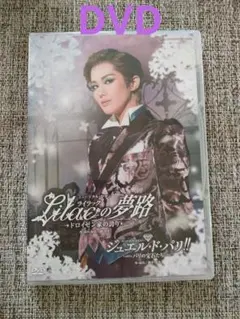 Item thumbnail for item 3195a697-bb1a-4b89-adf5-8ec1d5ffed57