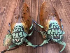 リアルセミ標本 緑色と茶色 2つ