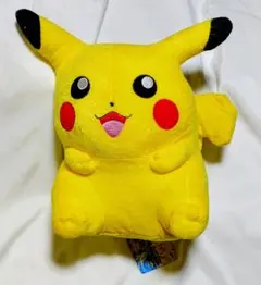 ポケモンピカチュウぬいぐるみ他、オマケ。