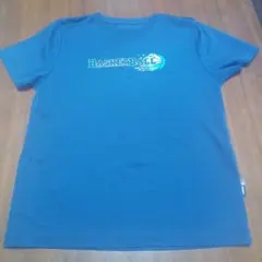 Item thumbnail for item ac11aa18-3da5-4509-a5a8-c75e2d41b289