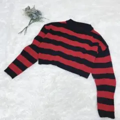 シーイン/SHEIN (S) ボーダー クロップド ニット セーター 赤/黒