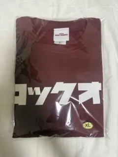 川崎ブレイブサンダース　FC Tシャツ