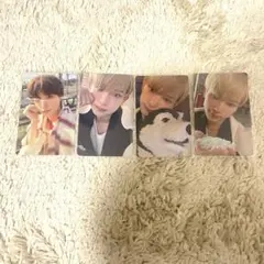 &TEAM HARUA ハルア トレカ　4枚セット