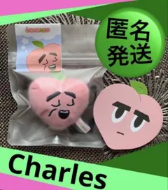 2025年最新】exo ギョンス d.o. ぬいぐるみの人気アイテム - メルカリ