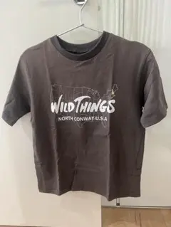WILD THINGS グレー Tシャツ M