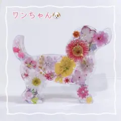 SALE⭐️No.458⭐️固まるハーバリウム✨️ わんちゃん ダックス 置物