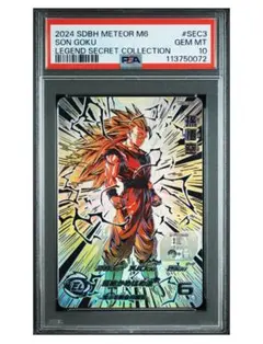 2025年最新】bm11-sec3 psaの人気アイテム - メルカリ