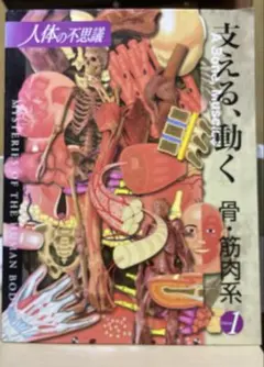 支える、動く : 骨・筋肉系