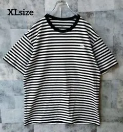 THE NORTH FACE XLsize ボーダーヘヴィウエイト 半袖Tシャツ