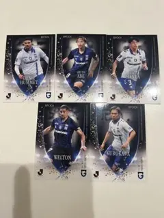 Item thumbnail for item 5dfacf2a-e6b5-48b0-9290-06dce3bf70dd