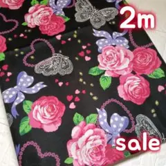 ♥♫MITARASI♫様sale ✿2m*˚✧₊キラリと…ローズとレース蝶