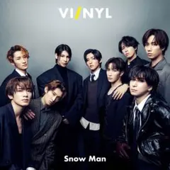 【新品】VI/NYL Snow Man バイナル #021