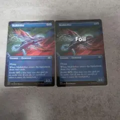 Mulldrifter 2枚セット