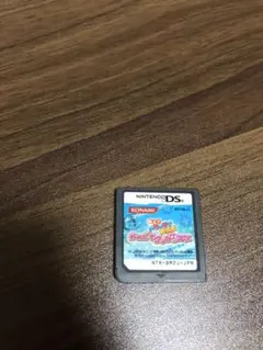 DS 極上!めちゃモテ委員長