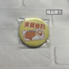 推しにときめく サンリオキャラクターズ 缶バッジ KIRIMIちゃん キリミ