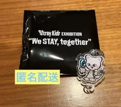 スキズ アイドル