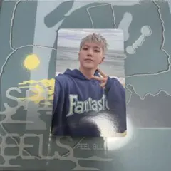 SEVENTEEN ホシ 消費期限 会場限定 トレカ 愛知