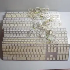 K0833 Apple USB Keyboard A1243 (11セット)