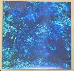 2025年最新】青葉市子 lpの人気アイテム - メルカリ