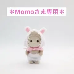 Momoさま専用