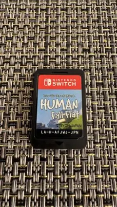 ヒューマンホールフラット switch