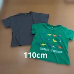 110cm　恐竜　西松屋　Tシャツ　まとめ売り　子供服　2点　男の子